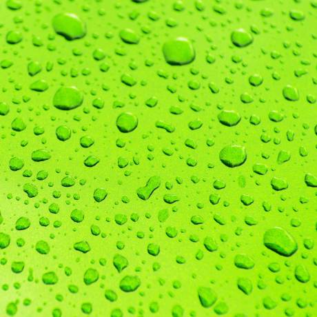 bright-green-car-body-paint-covered-by-car-wash-wa-2023-11-27-04-49-29-utc-min